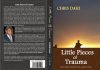 LITTLE PIECES OF TRAUMA