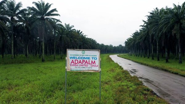 ADAPALM